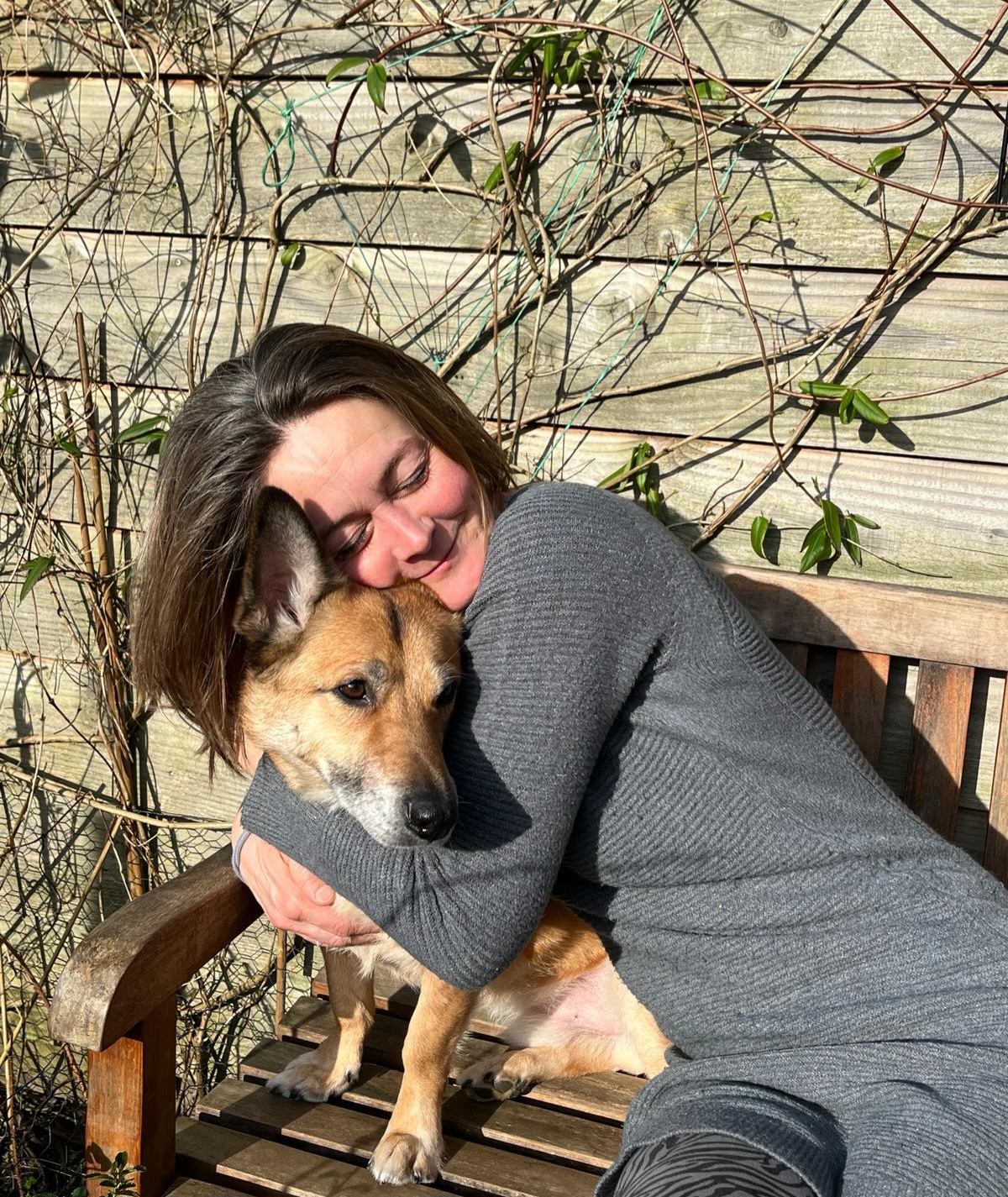 Dierengesprek dierengesprek